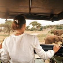 A woman in a safari vehicle observes elephants grazing in a sunny savanna landscape. She wears a white shirt, evoking a sense of adventure and tranquility.