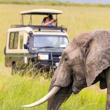 Elephant grazes in tall grass while a safari vehicle with an open roof and tourists taking photos is seen in the background on an African savannah.